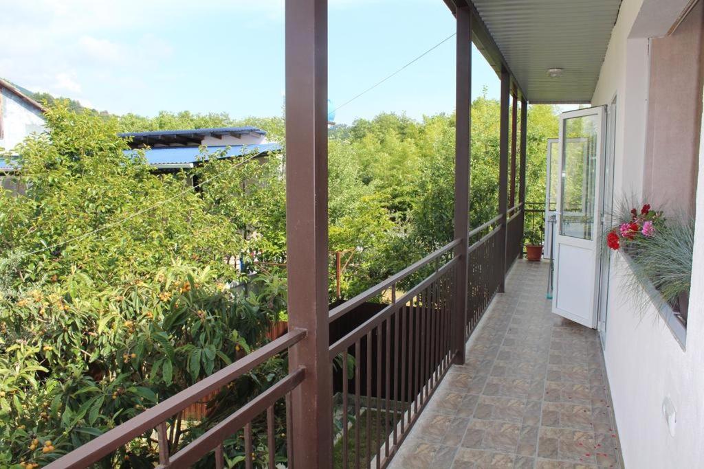 Guest House U Aleny Gagra Ngoại thất bức ảnh